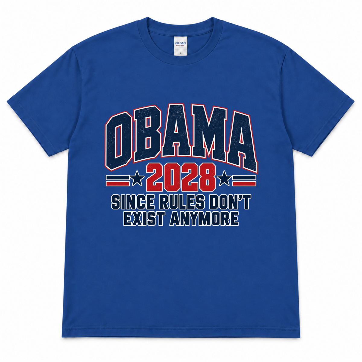Obama 2028 - Since Rules Don't Exist Anymore