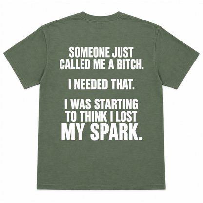 Someone Just Call Me a Bitch T-shirt