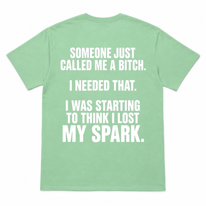 Someone Just Call Me a Bitch T-shirt
