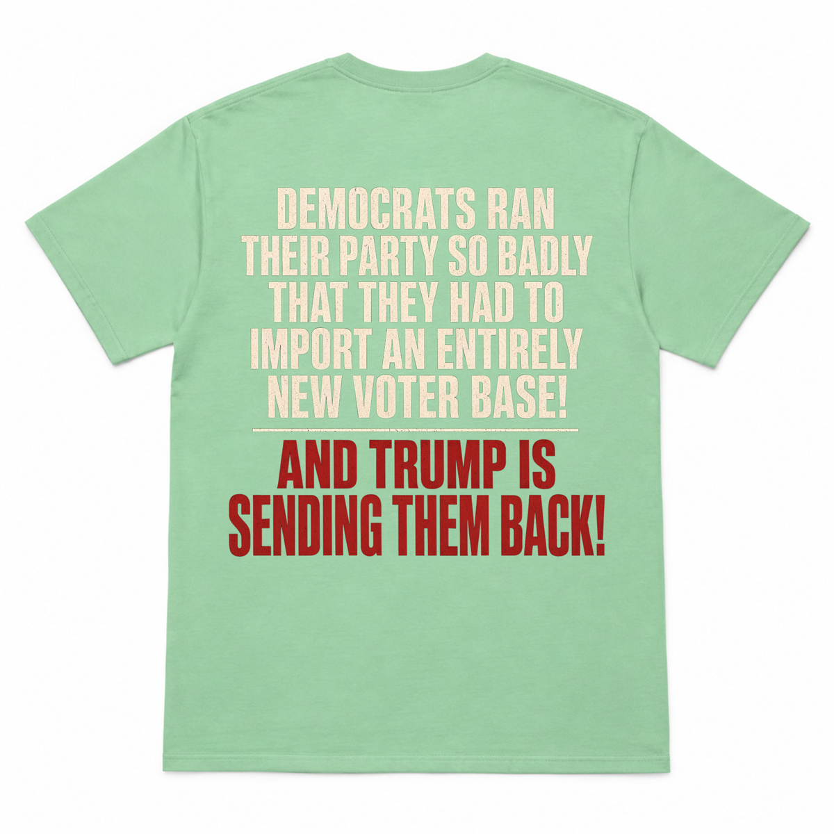 Democrats Ran Their Party So Badly Funny T-shirt