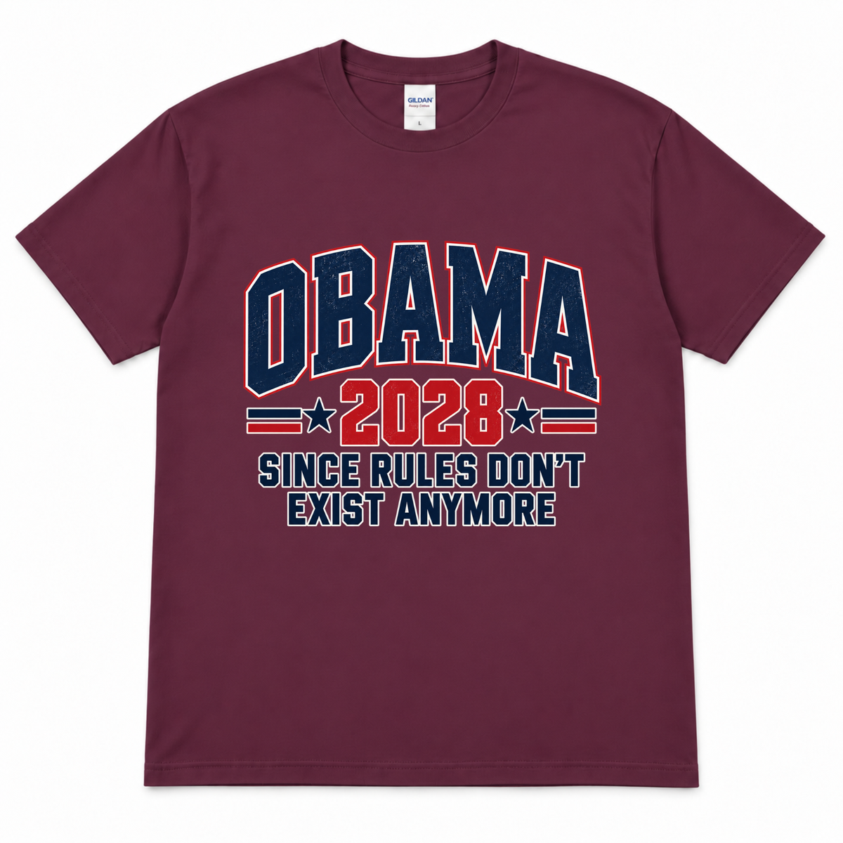 Obama 2028 - Since Rules Don't Exist Anymore