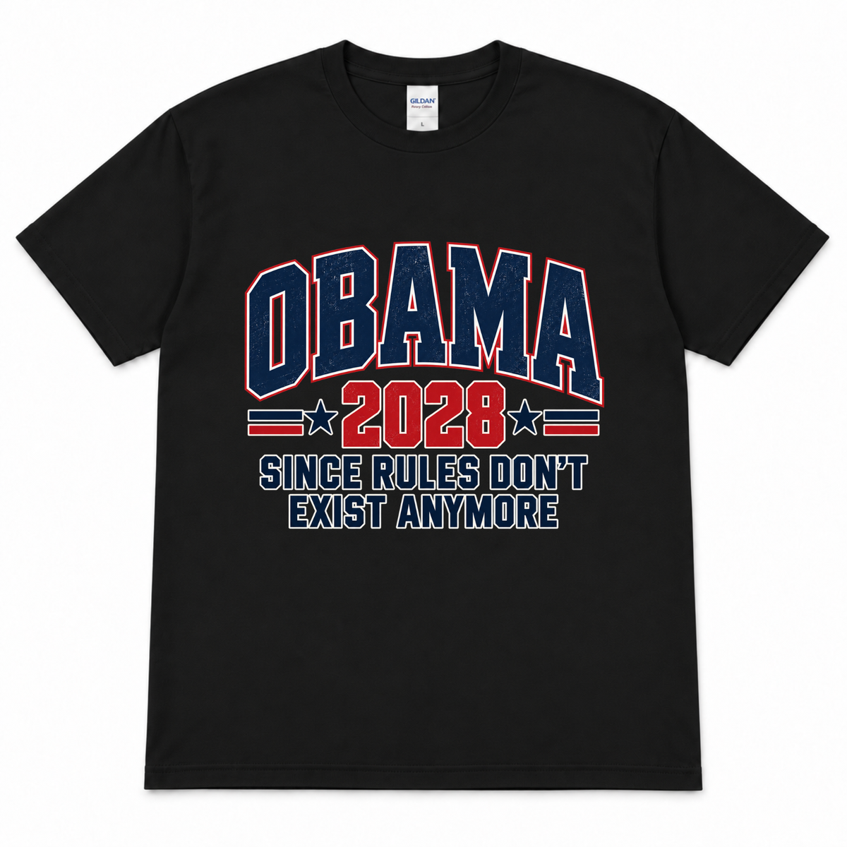 Obama 2028 - Since Rules Don't Exist Anymore