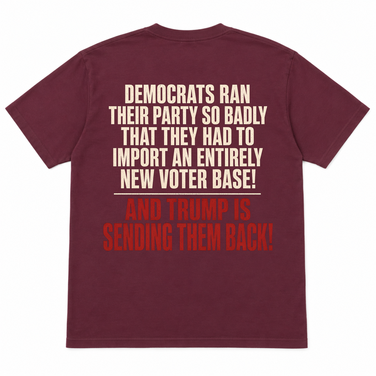 Democrats Ran Their Party So Badly Funny T-shirt