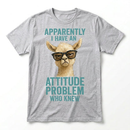 Apparently I have An Attitude Problem Who Knew
