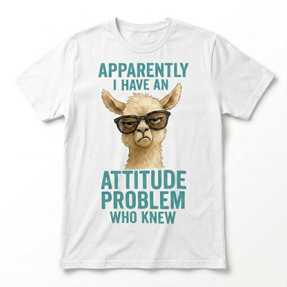 Apparently I have An Attitude Problem Who Knew