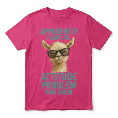 Apparently I have An Attitude Problem Who Knew